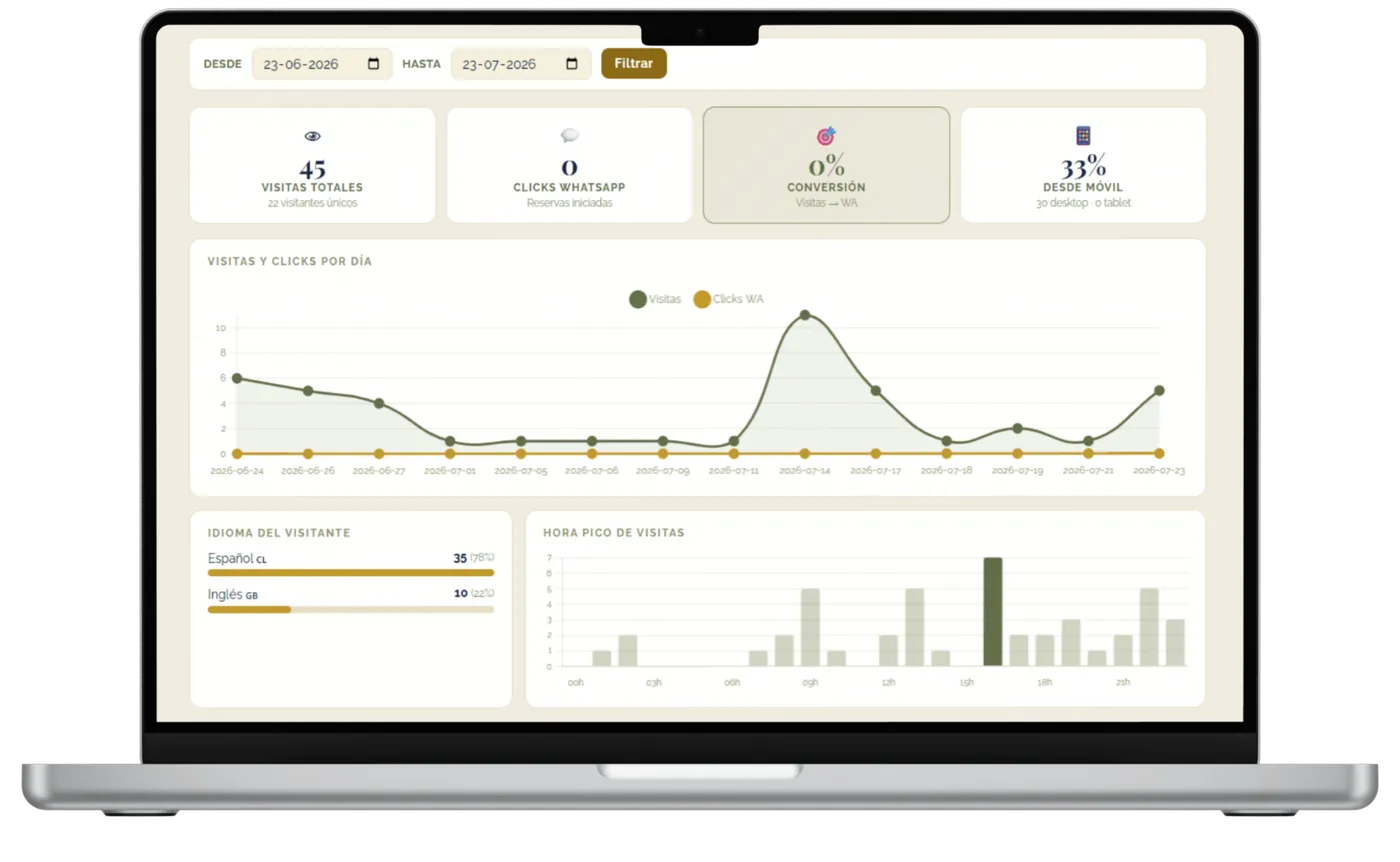 Panel de analíticas propio: visitas, origen del tráfico y clics de la página web